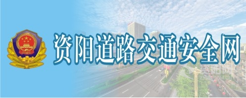 骚逼.com资阳道路交通安全网